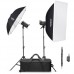 Godox SK300II-V 2-Light Kit